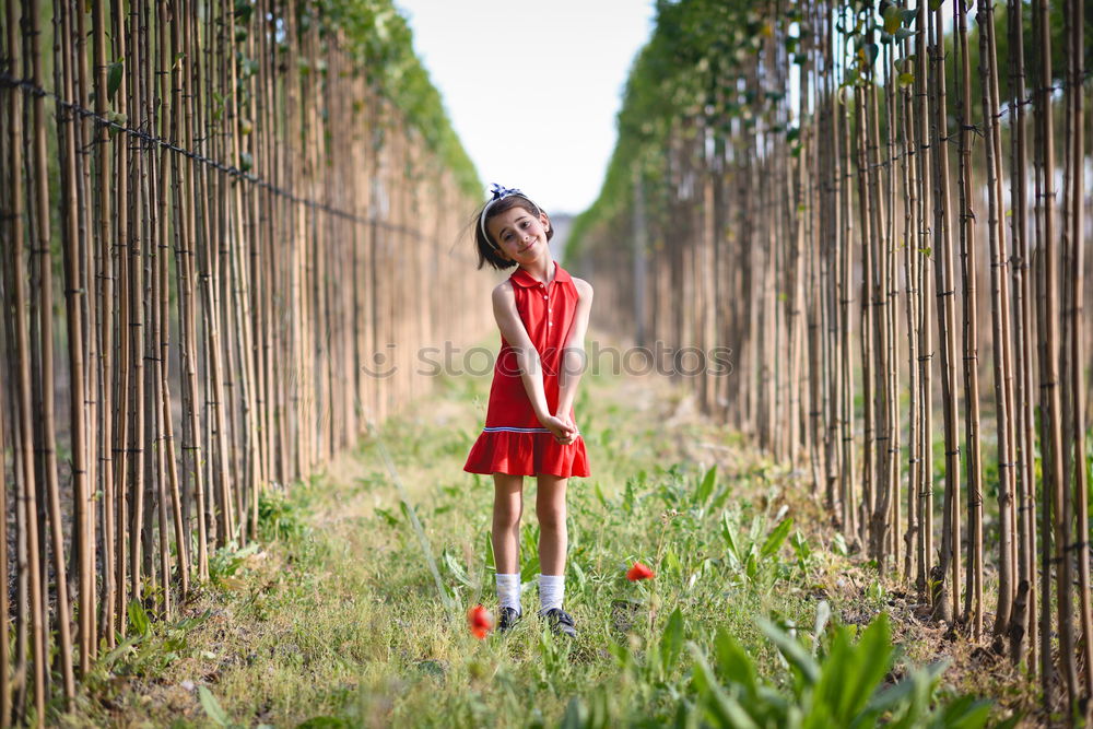 Similar – Image, Stock Photo Little girl in poppies field wearing beautiful dress