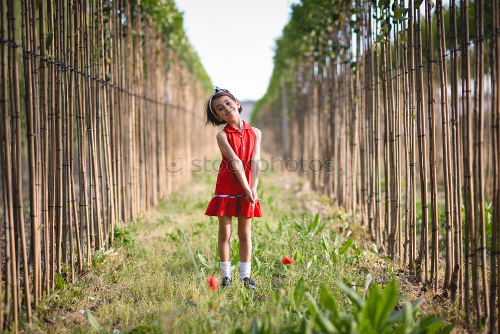 Image, Stock Photo Little girl in poppies field wearing beautiful dress