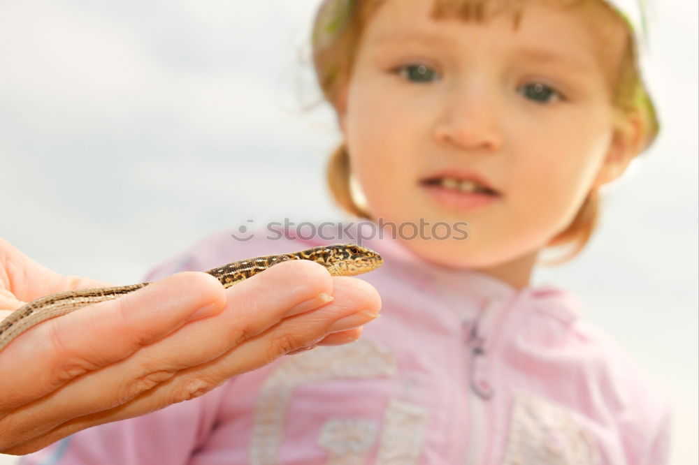 Similar – Froschkönig