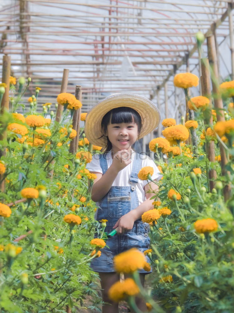 Image, Stock Photo Woman touching yellow flower