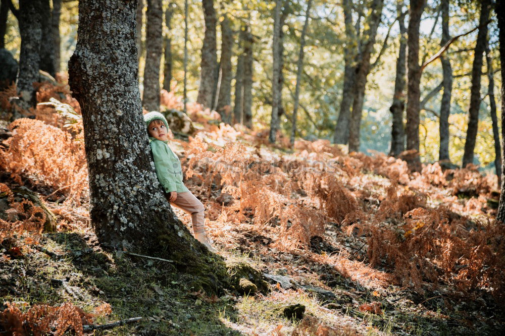 Similar – Woman lies on a thick branch of a tree