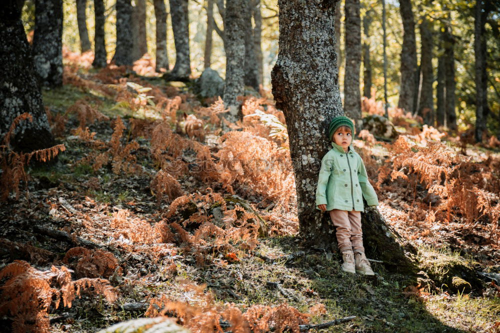 Similar – Image, Stock Photo forest child Human being