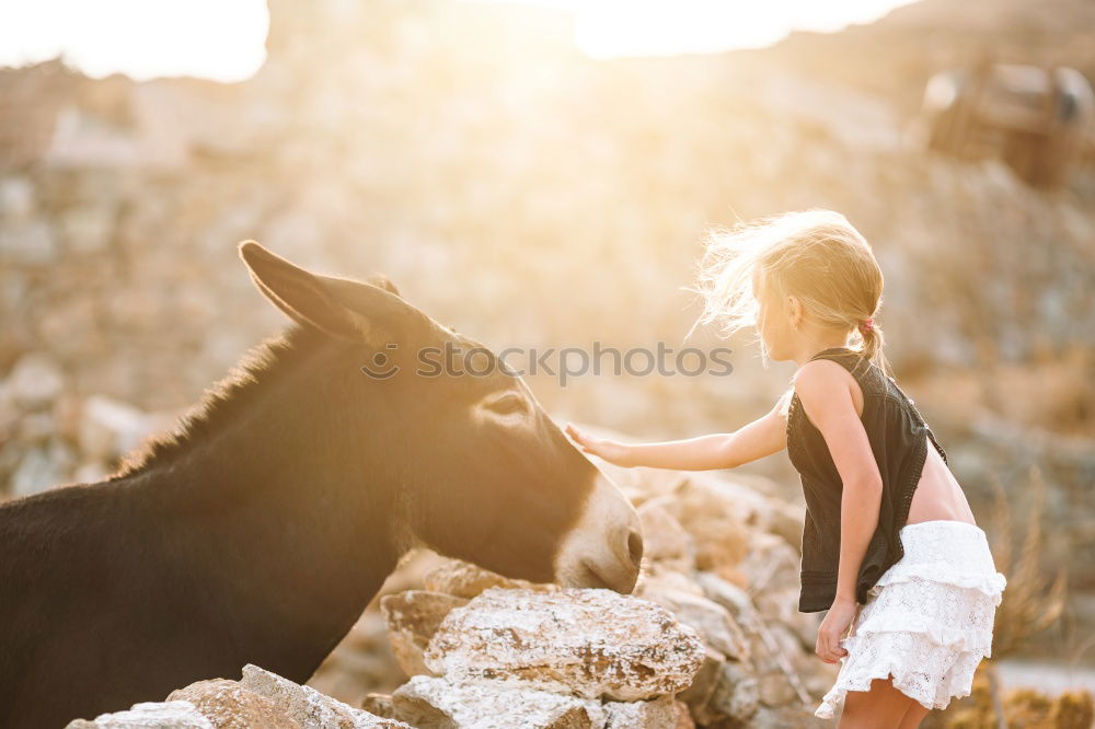 Similar – Image, Stock Photo Smiling woman with dog