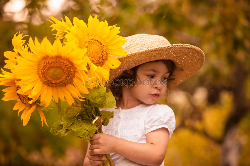 Similar – boy playing in sunflower field