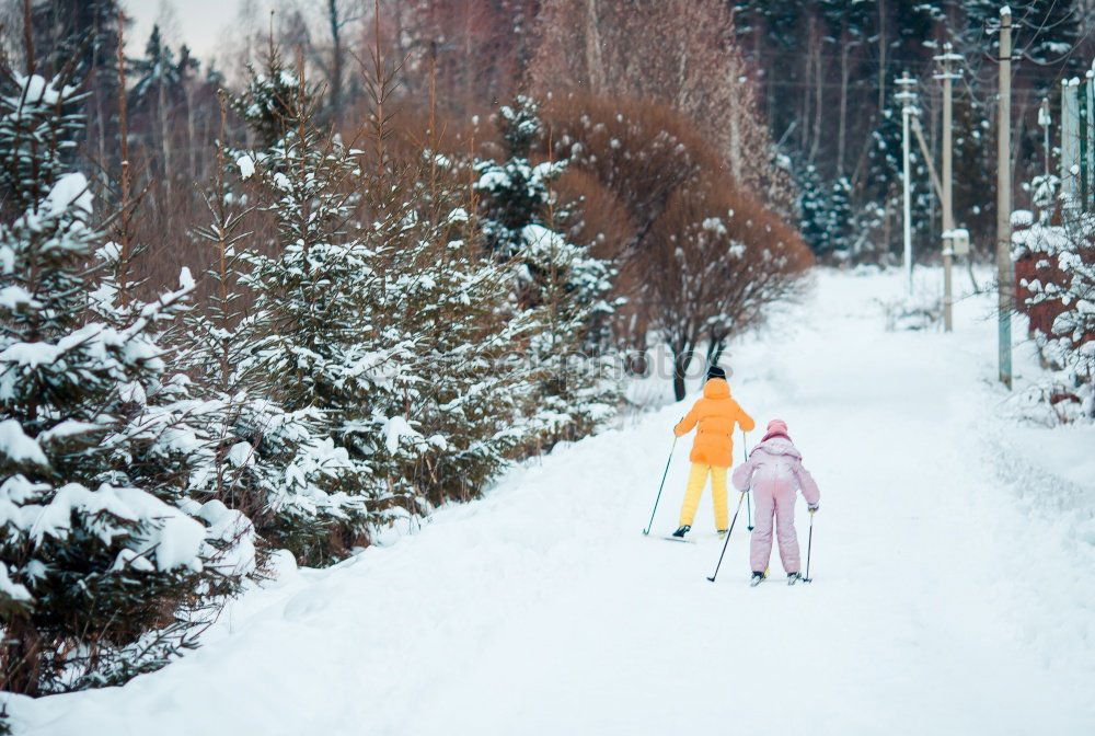 Similar – Family spending time together walking outdoors in winter