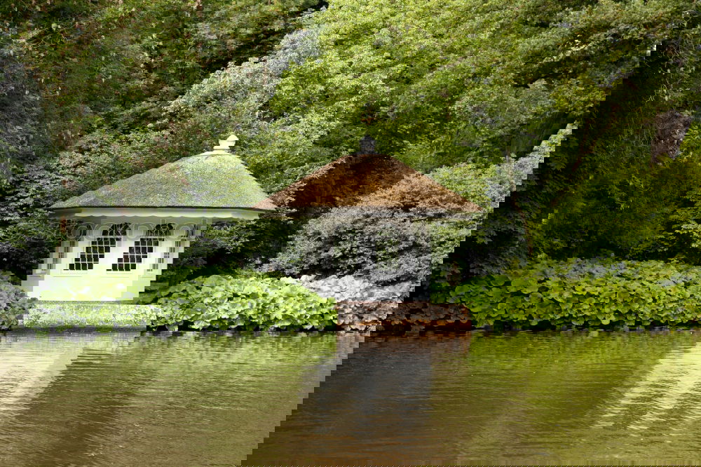 Similar – Image, Stock Photo duck castle Landscape