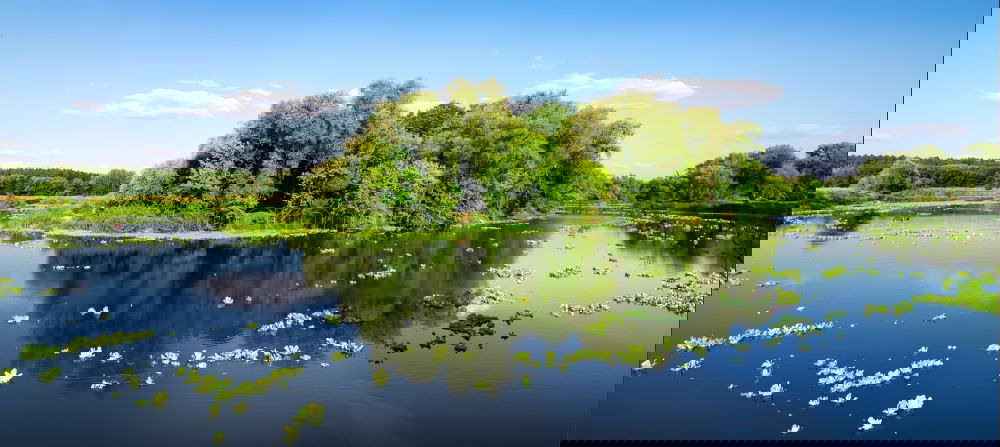 Similar – Image, Stock Photo green Idyll Paradise
