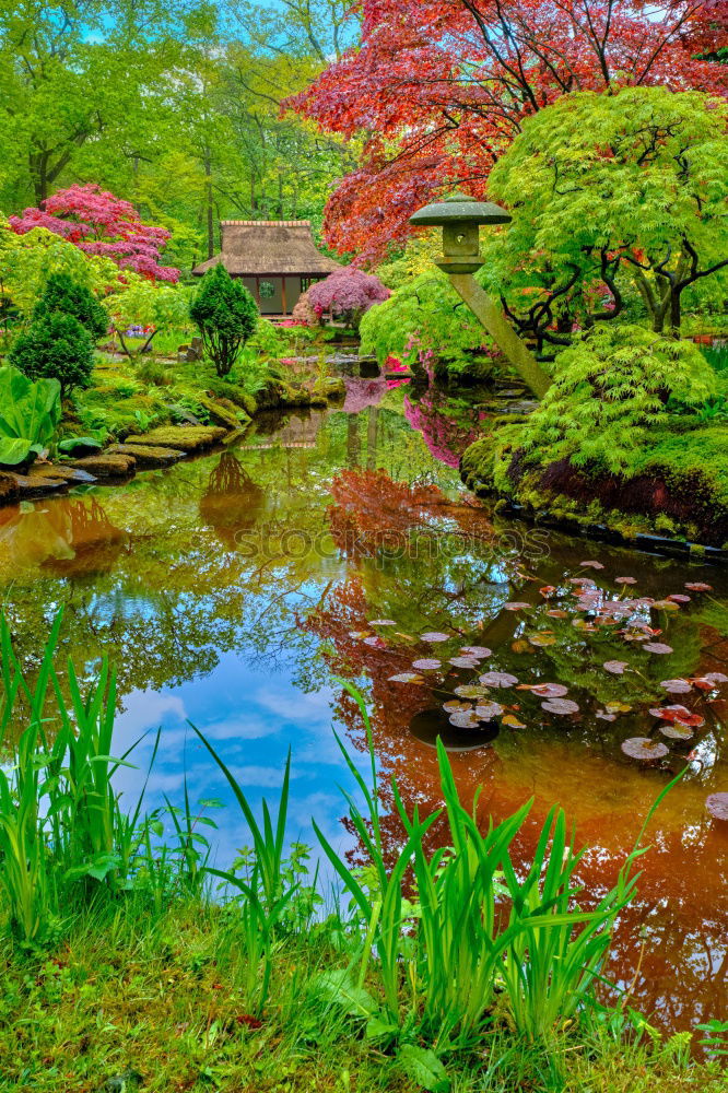 Similar – Image, Stock Photo Japanese Garden Landscape