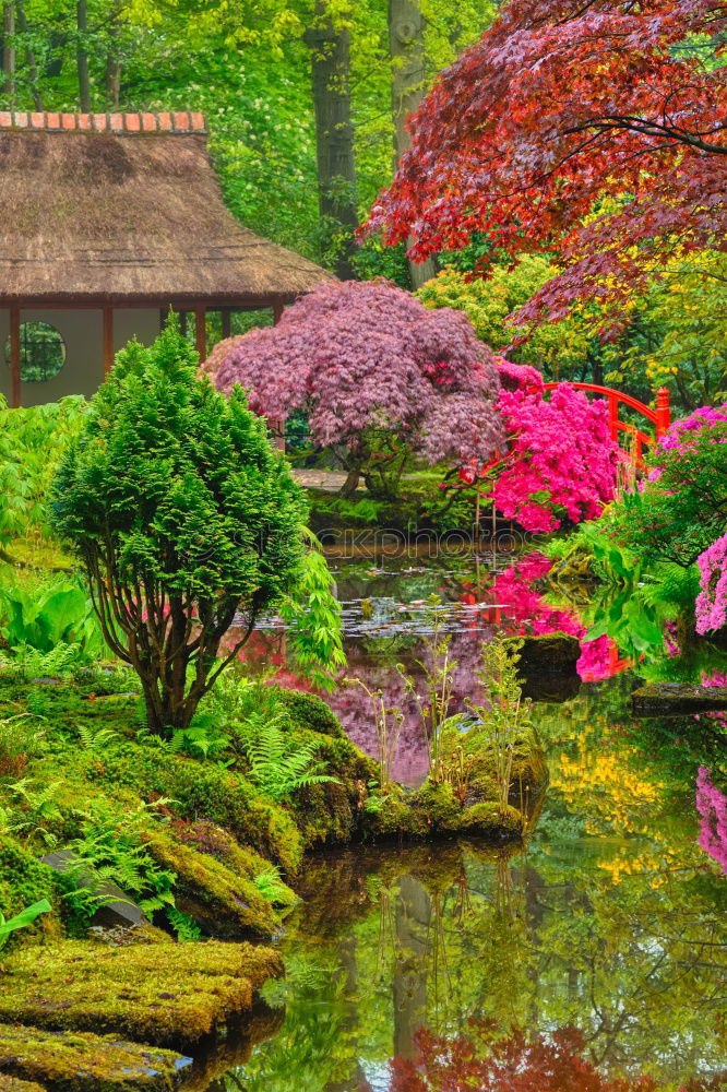 Similar – Image, Stock Photo Japanese Garden Landscape