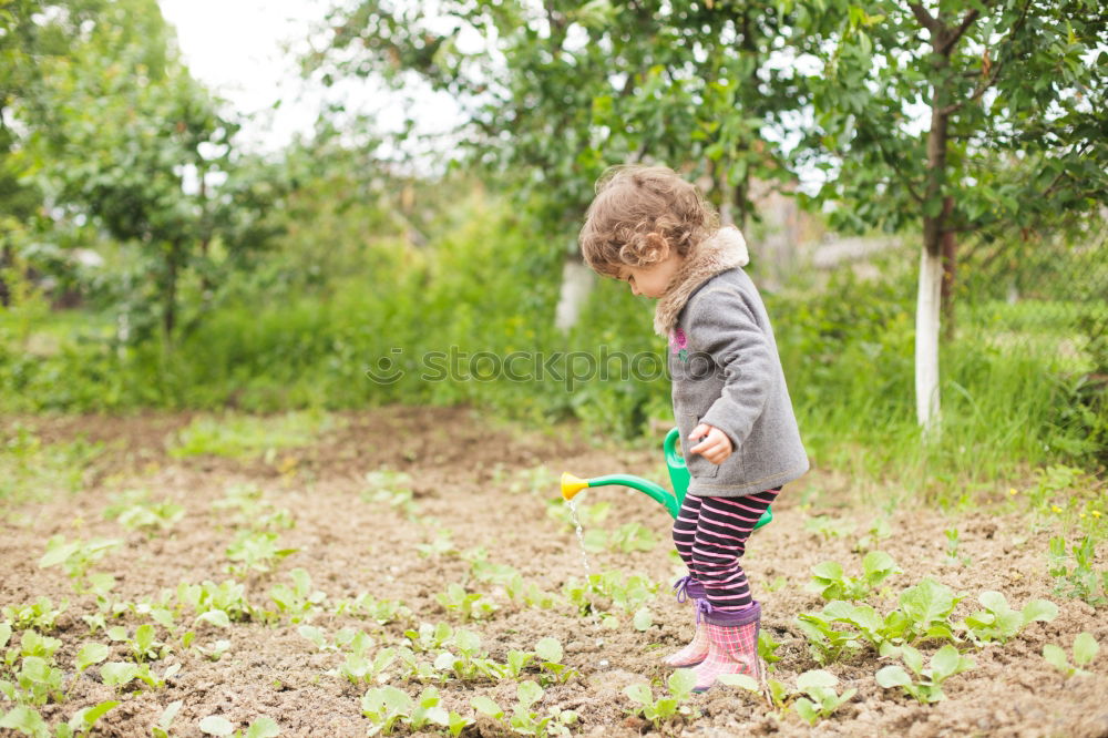 Similar – irrigate season garden