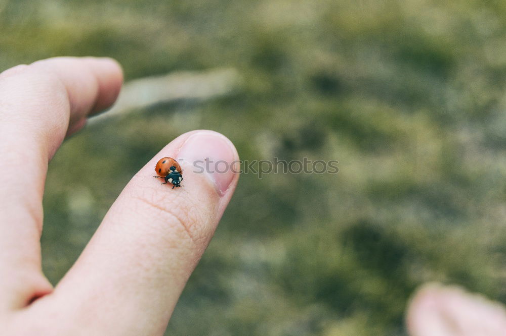 small snail Happy