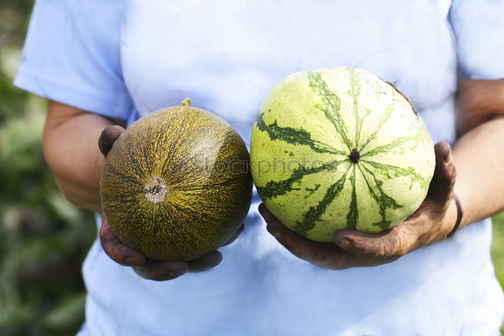 Similar – Image, Stock Photo Fresh pumpkin harvested by hand