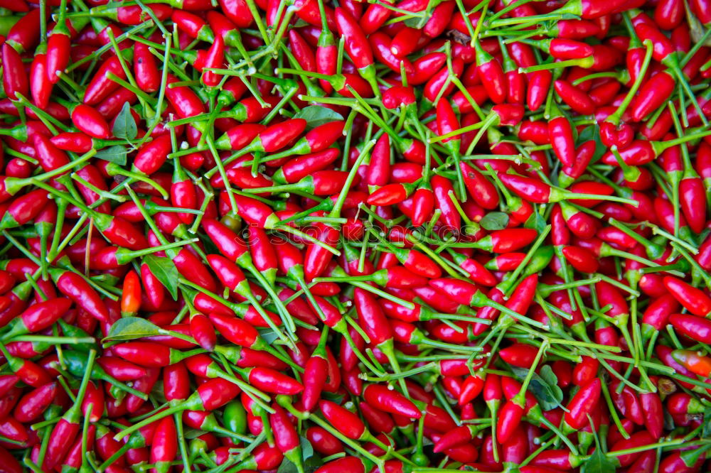 Similar – Sharp Healthy chilli Tangy