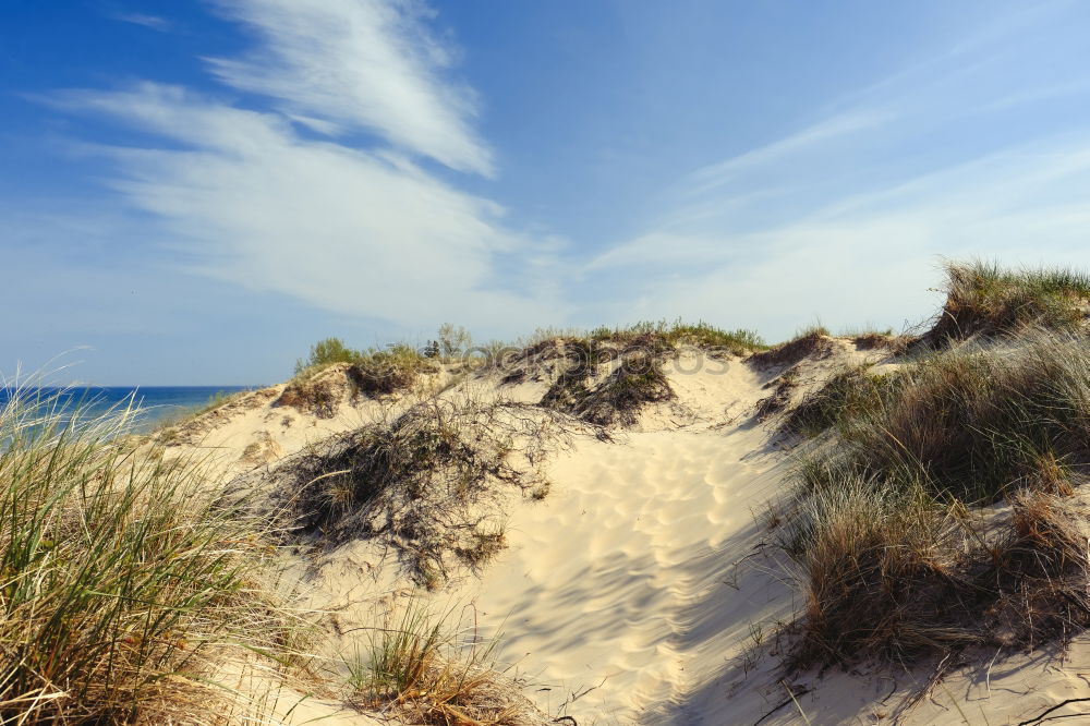 Similar – Image, Stock Photo Get land Sand Air Sky