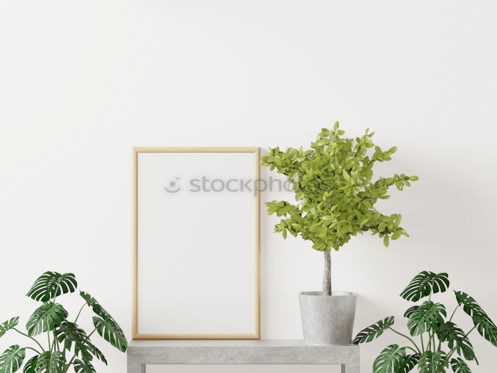 Similar – Room plants for Urban Jungle