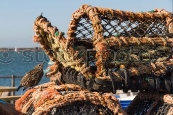 Similar – Image, Stock Photo fishing port Fisherman