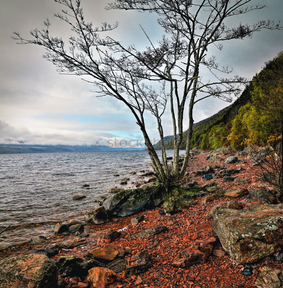 Similar – Image, Stock Photo ROUGH Nature Landscape