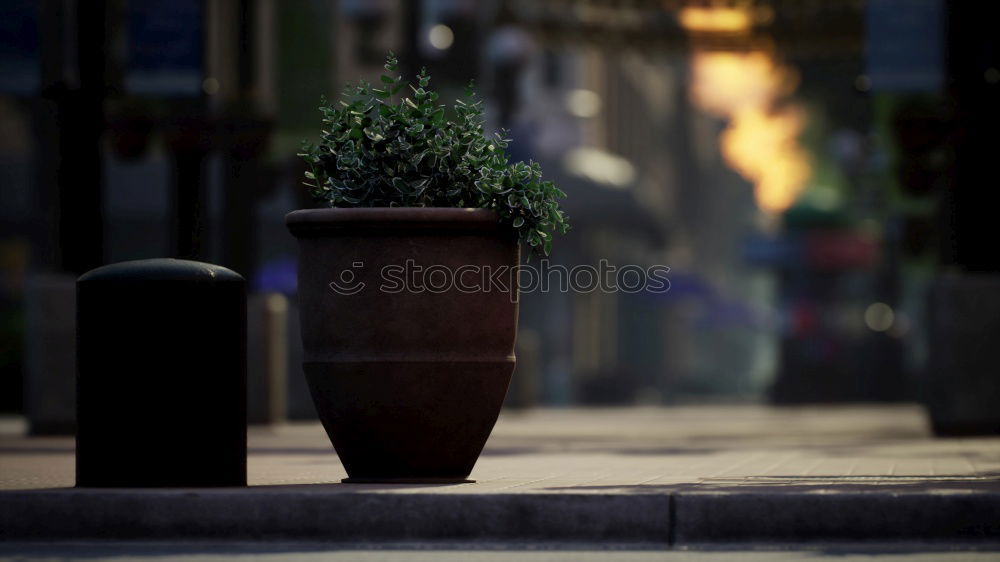 Similar – Image, Stock Photo Red London mailbox Mailbox