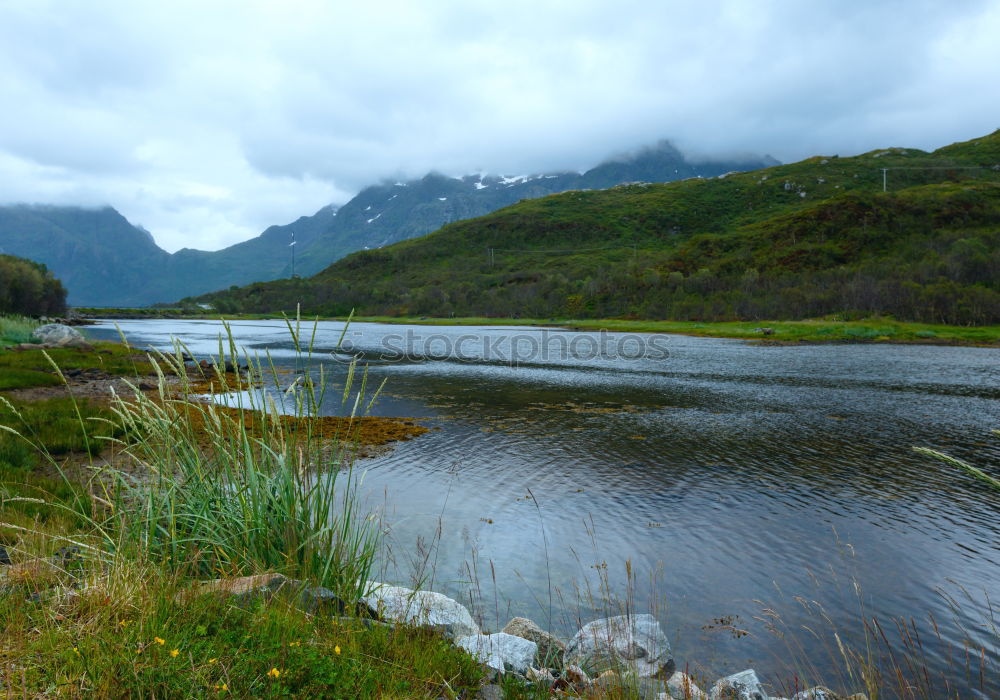 Similar – Image, Stock Photo Lough Leane Nature