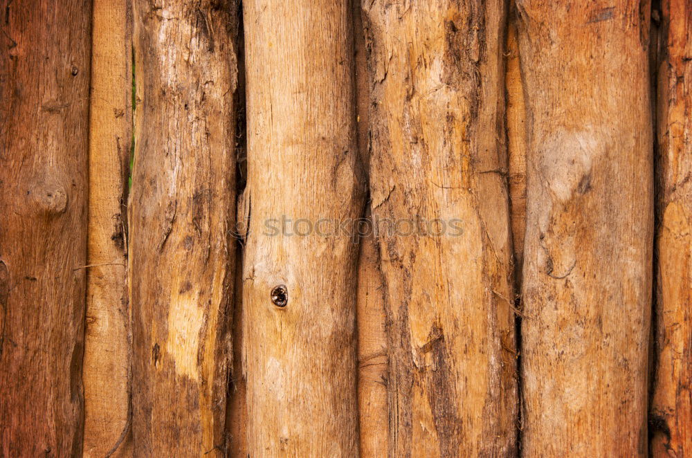 Similar – Foto Bild Bretter Holz alt kaputt