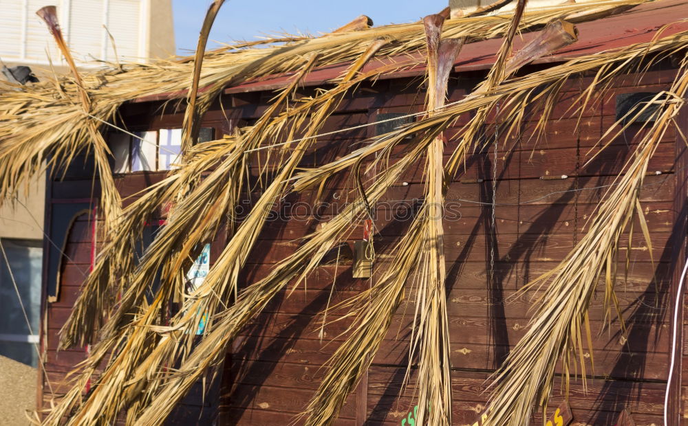 Similar – Image, Stock Photo Drying laundry Village