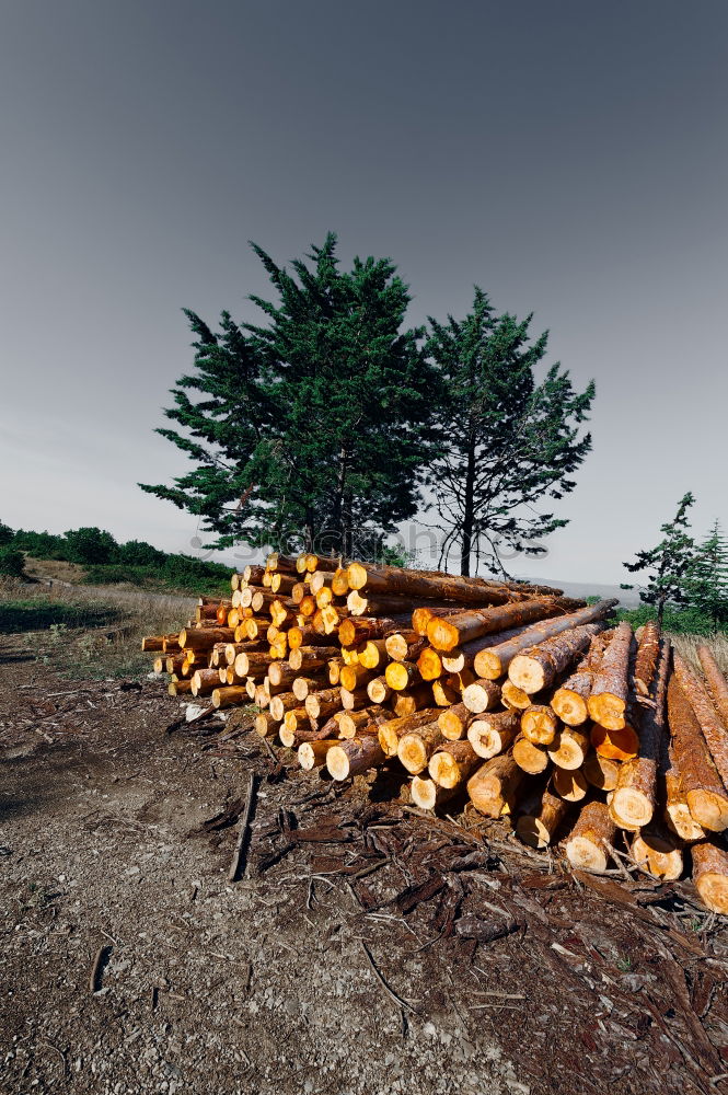 Similar – Image, Stock Photo wood Work and employment