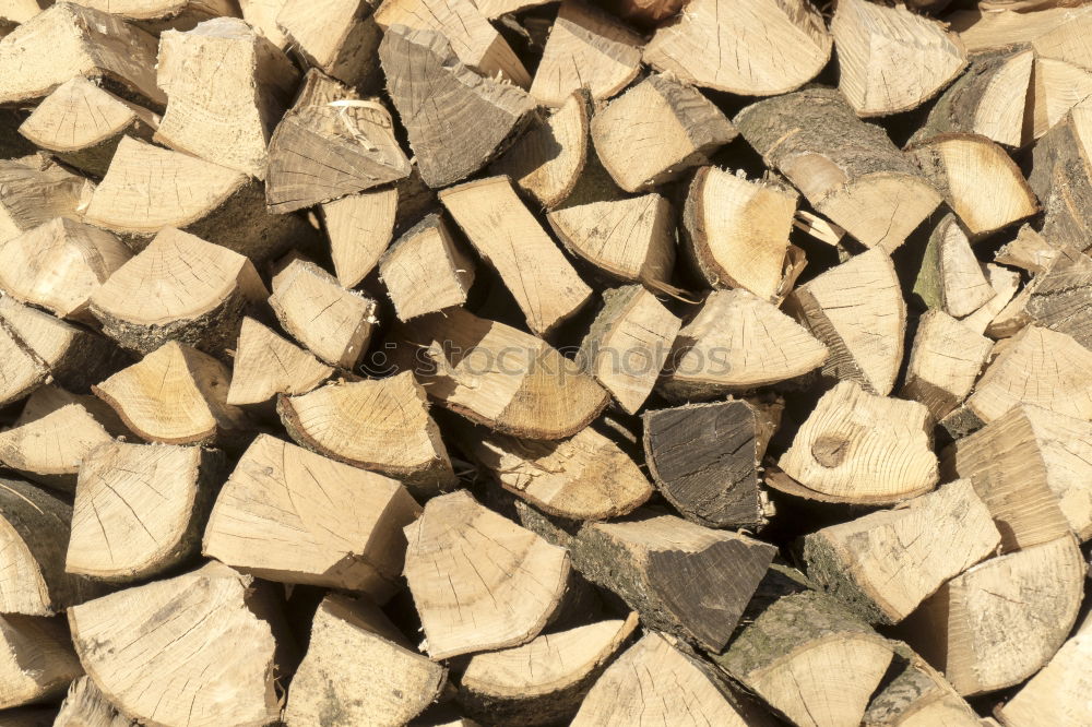 Similar – Image, Stock Photo Wood in front of the hut