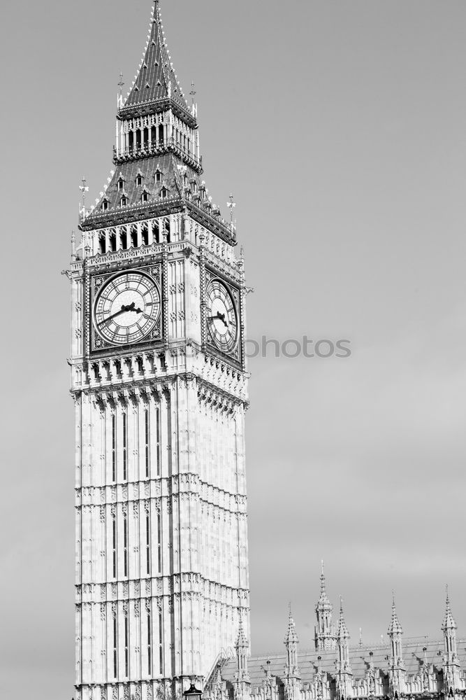 Similar – Seagull at Big Ben