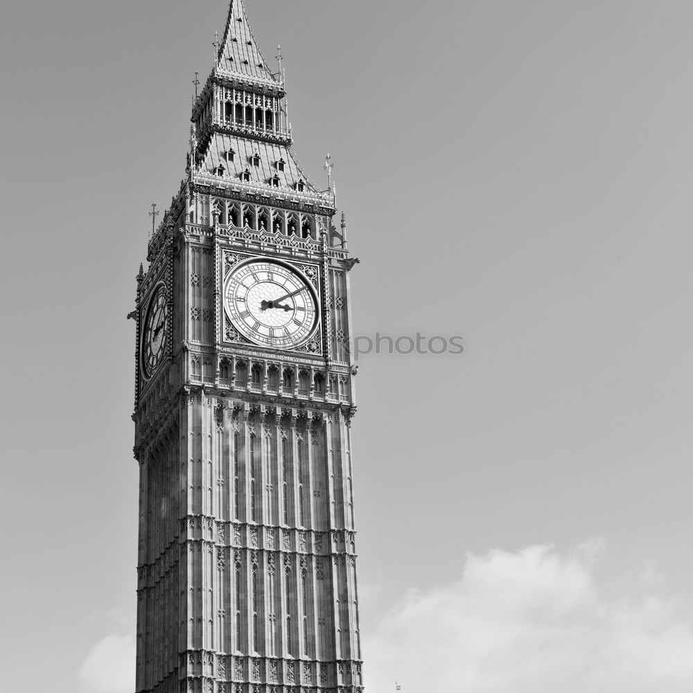 Similar – Seagull at Big Ben