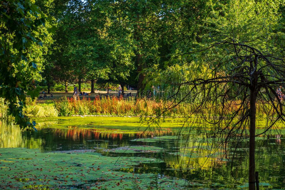 Similar – torii Nature Landscape