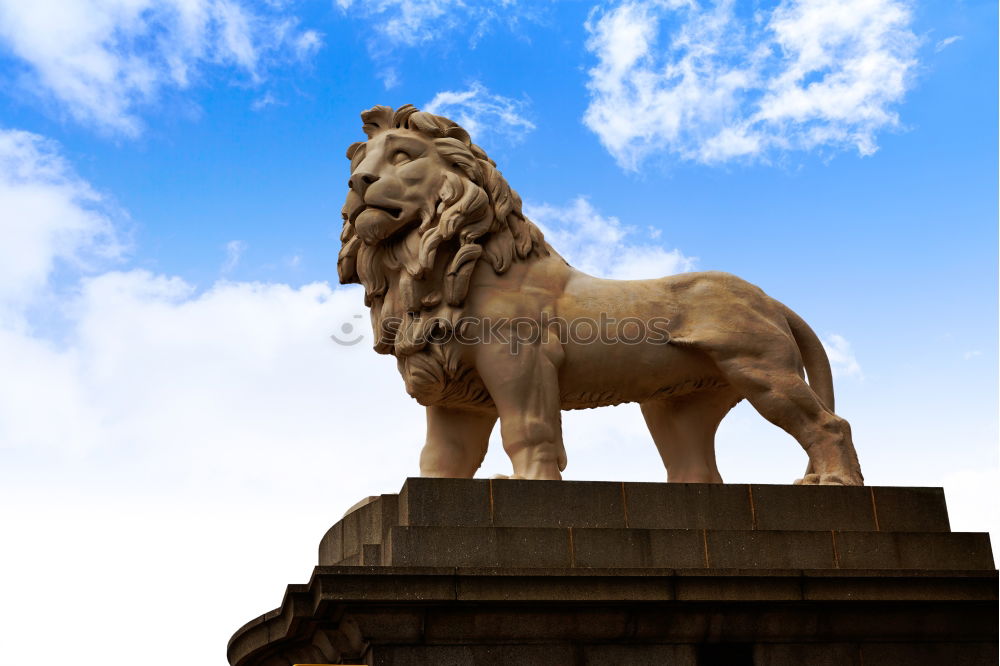 Similar – Stone Fury Horse Paris