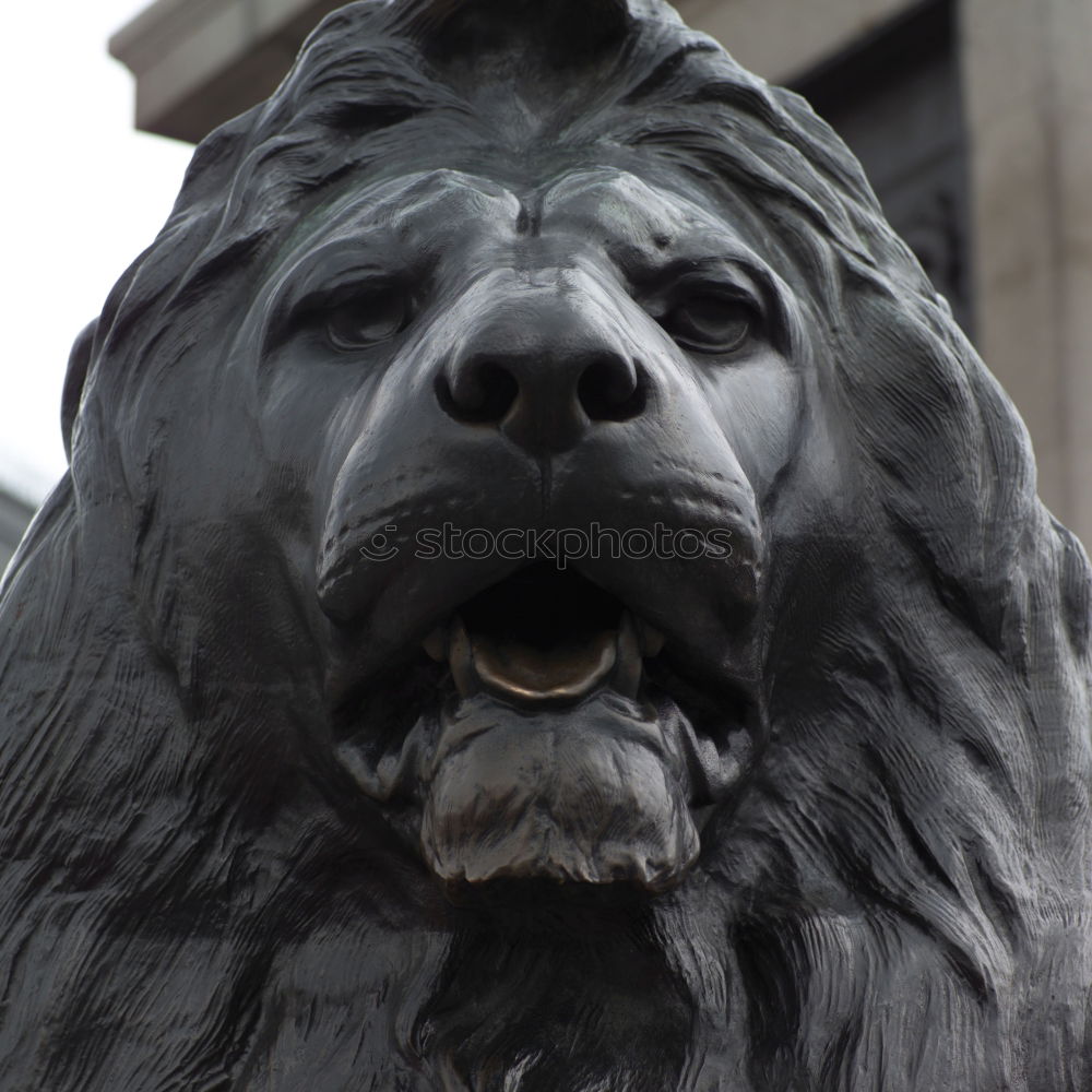 Foto Bild lauernder Löwe grau Statue