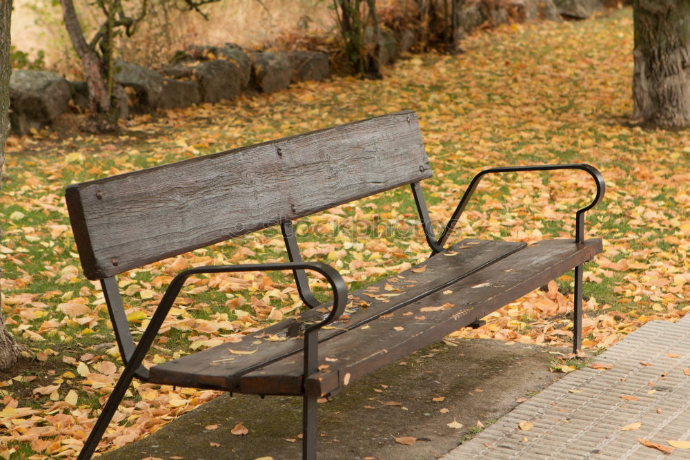 Similar – Red wooden chair in inclined position on sunny asphalt