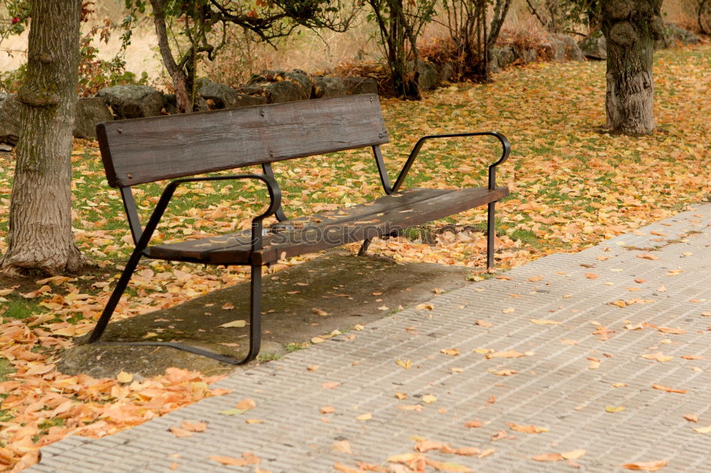 Similar – Red wooden chair in inclined position on sunny asphalt