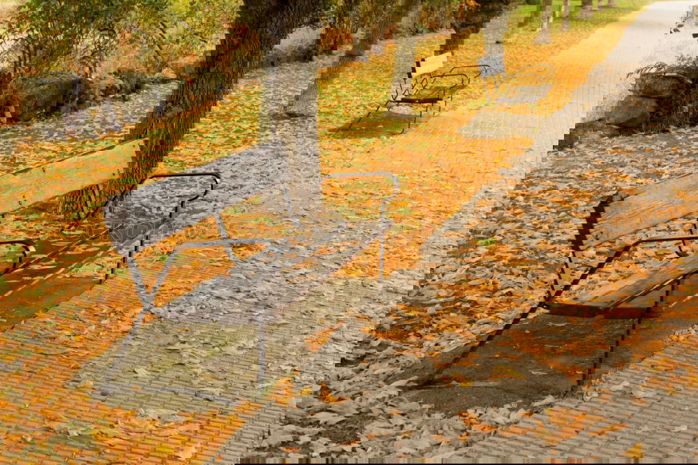 Similar – Image, Stock Photo Autumn Whisper II