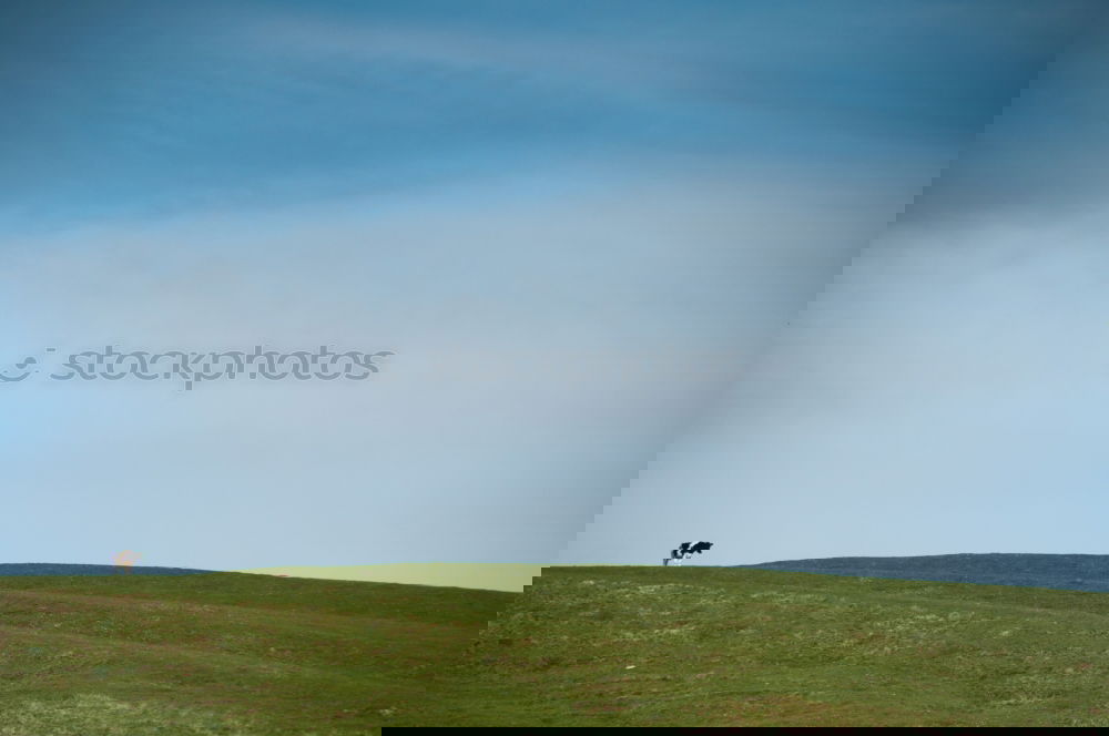 Similar – Image, Stock Photo solitariness Harmonious