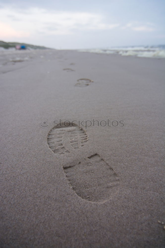 Walk by the sea Ocean