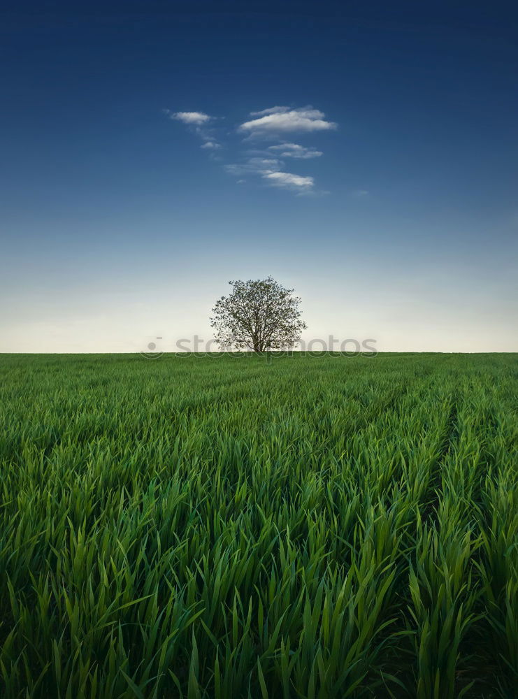 Similar – Grüner Herbst Landschaft