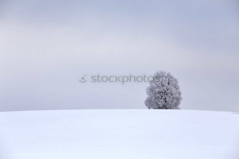 Similar – Schauinsland Landschaft