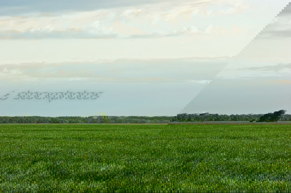 Similar – Foto Bild feldversuch Feld