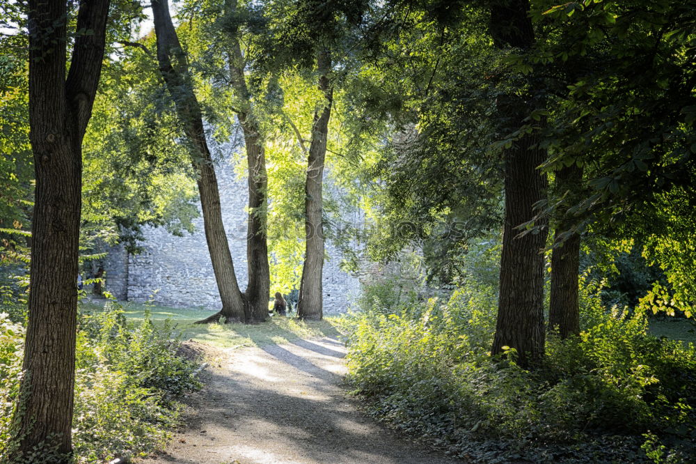 Similar – Komm… Kind Frau Baum