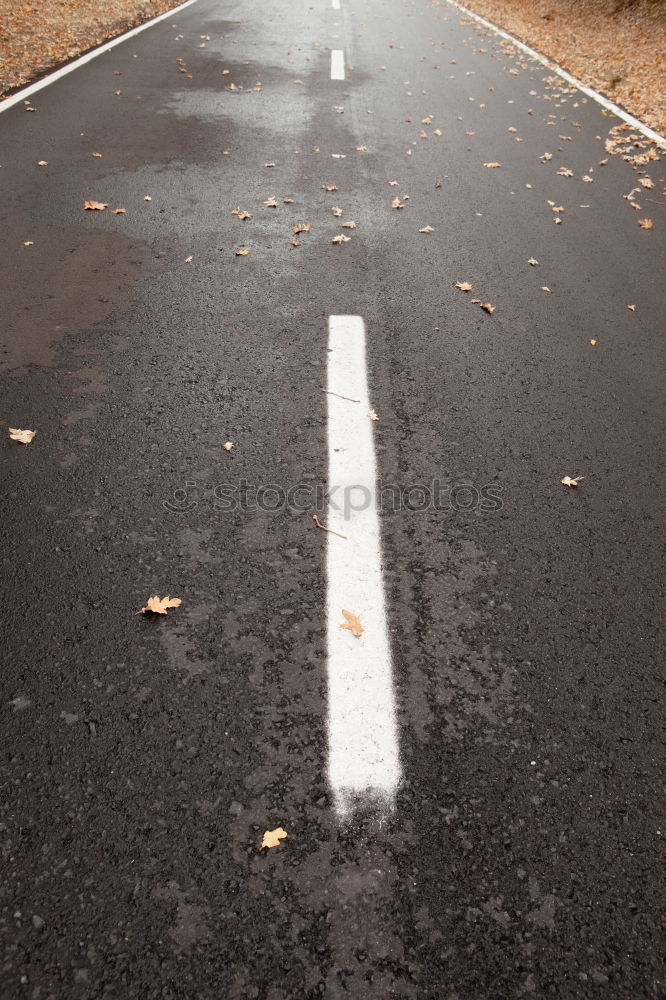 Similar – Paw way! Grass Roadside