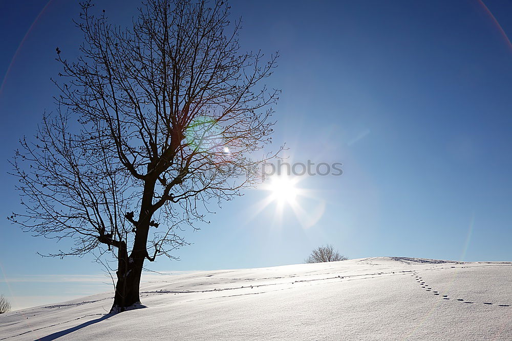 Similar – ice skating Winter Snow