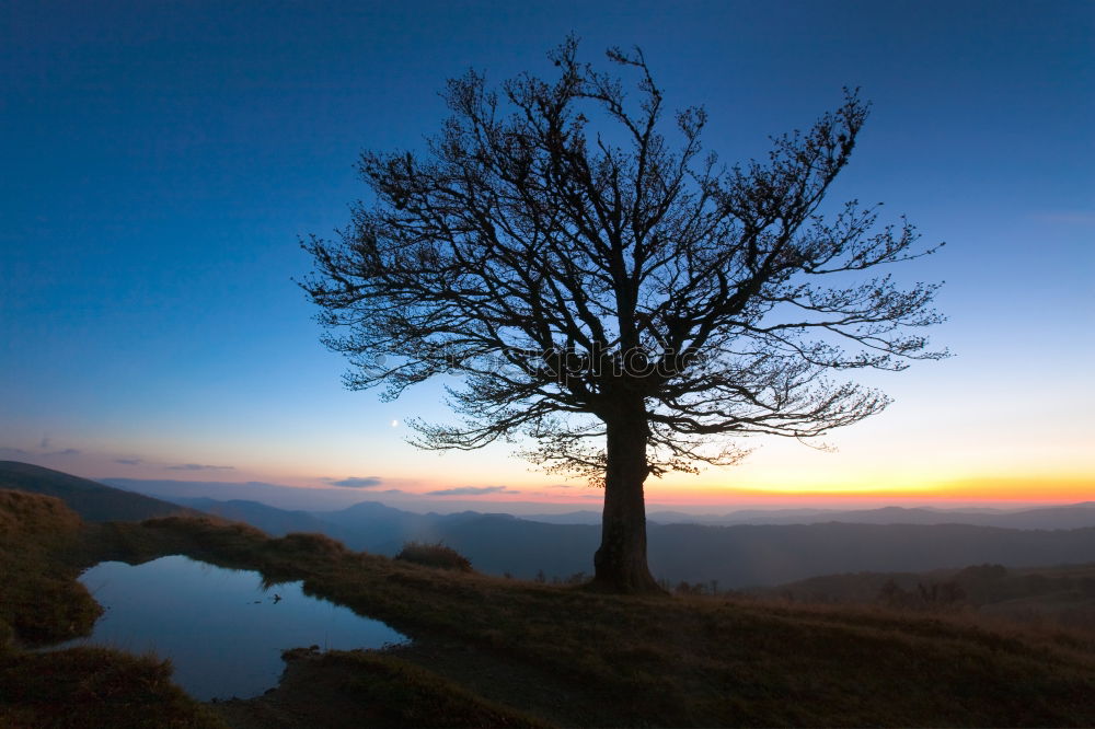 Similar – Image, Stock Photo daybreak Human being