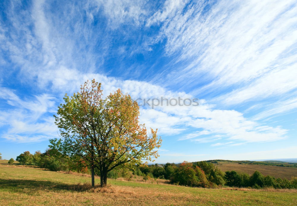 Similar – Golden Autumn Environment