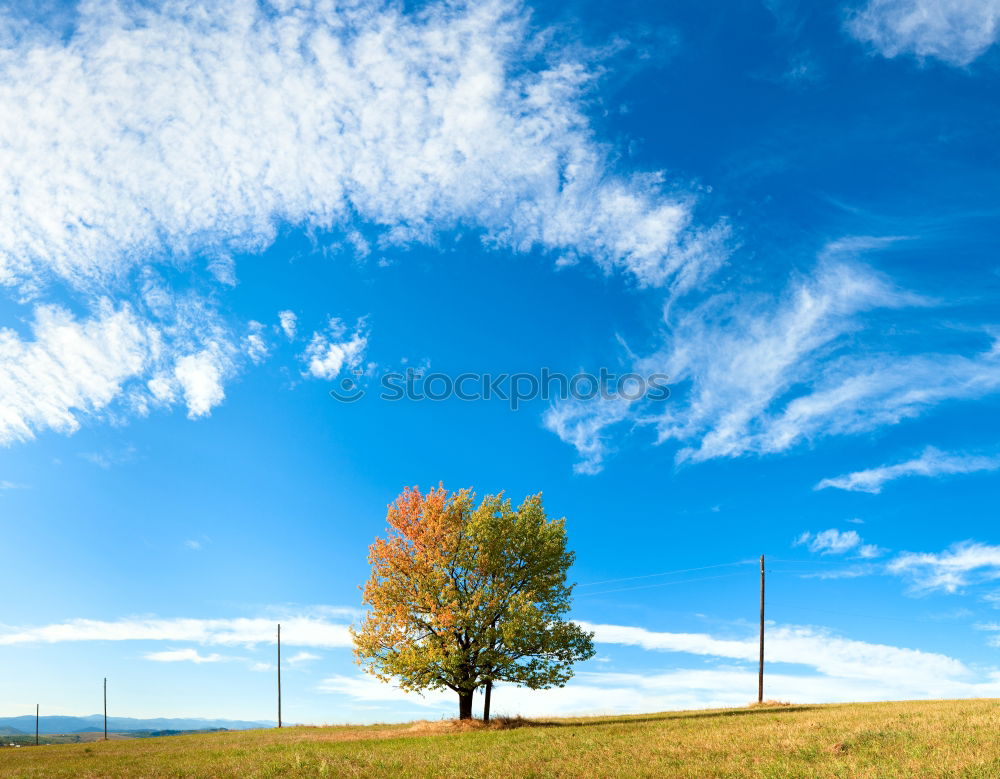 Similar – Foto Bild Hängt den Baum auf…