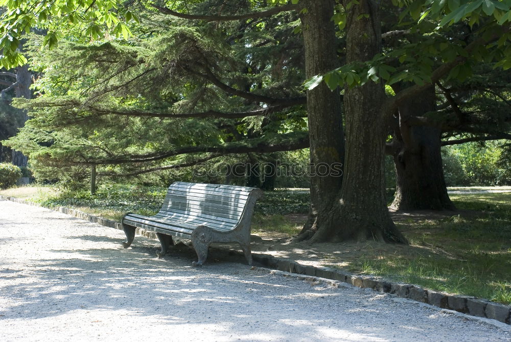 Similar – Park bench in the fall at Lago Ledro