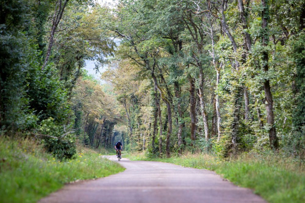 Similar – Happy mother with her little daughter in rural road.