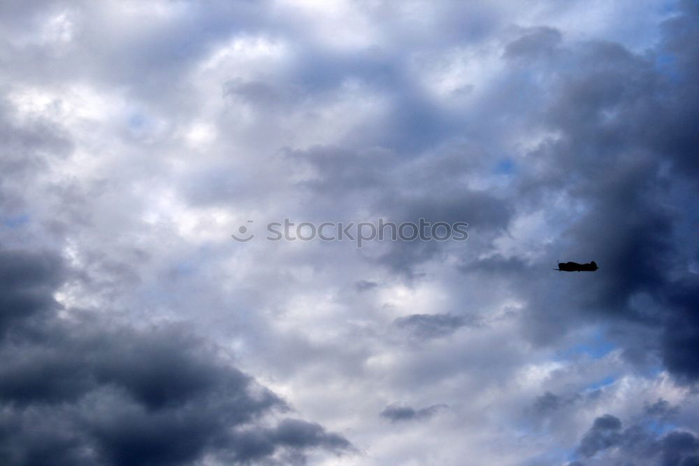 Similar – Image, Stock Photo flying horny Airplane