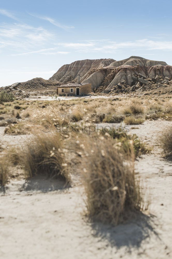 Image, Stock Photo Women walking on sandy hill